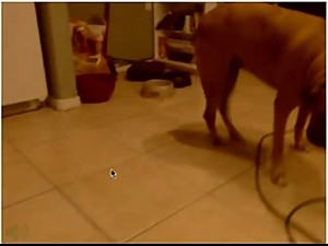 My kiwi mom playing with my friend -