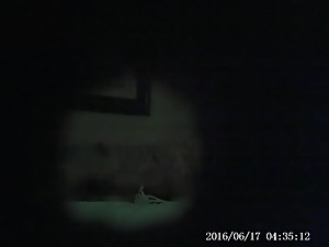 My Sexy Stepmom stepson hidden cam