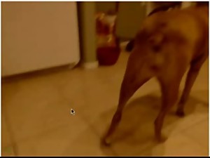 My kiwi mom playing with my friend -