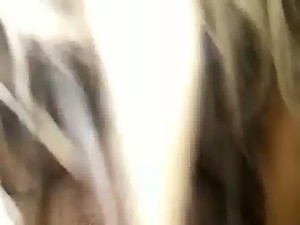 sons school teacher lol From