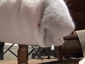 Giantess Finds Son in Sock