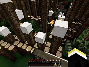 Minecraft: Around the Penis Hardcore