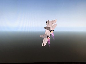 Enemy Viggen gets wiped out by supersonic