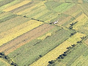 Germans ass fuck foreign invaders to