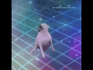 DANCE TILL UR DED.mp4